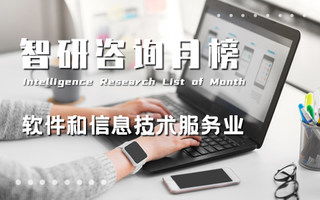 智研排行榜 洞察地區經濟、行業與產品趨勢的信息技術咨詢服務
